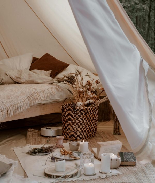 pexels-cottonbro-5358926